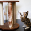 cat scratcher post
